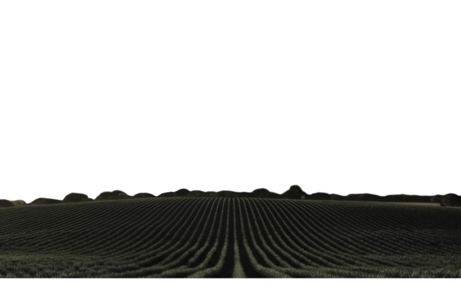Foreground mountain landscape for Imperio Real Tequila